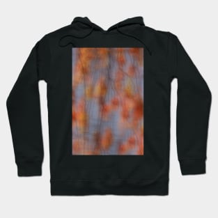 The Colours of Autumn Hoodie